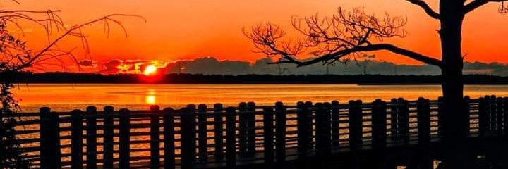 vewiggy's profile banner image