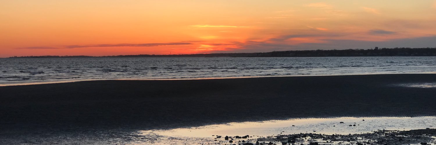 sonizsofly88's profile banner image