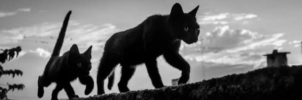 mitsuemon666 Profile Banner