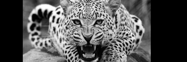 DaddyyBree's profile banner image