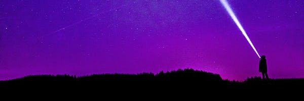 韭菜割 banner