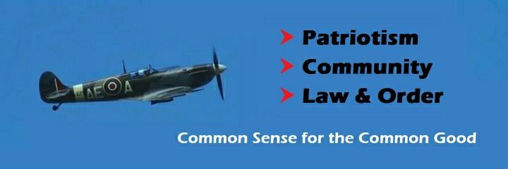 Make The Left Normal Again! banner