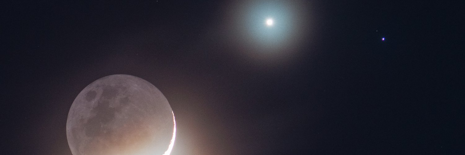 Pandita rojo 🐳 banner