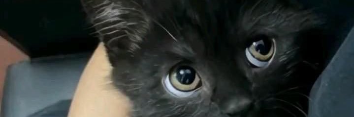 bbylexxaaa's profile banner image