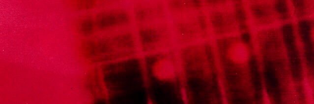 Dillon Branscum banner