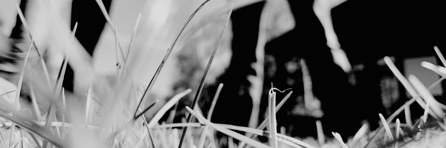 ossmuc's profile banner image