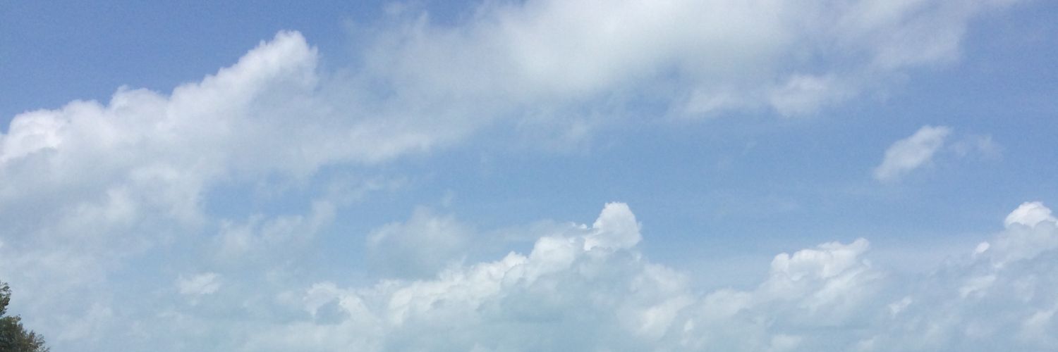 EzzFan's profile banner image
