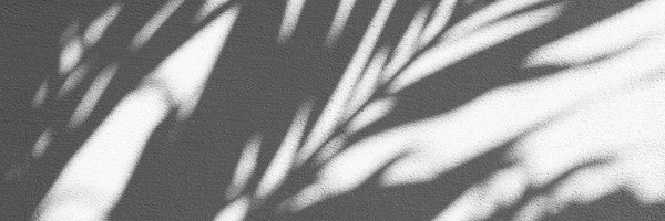 tettaus Profile Banner