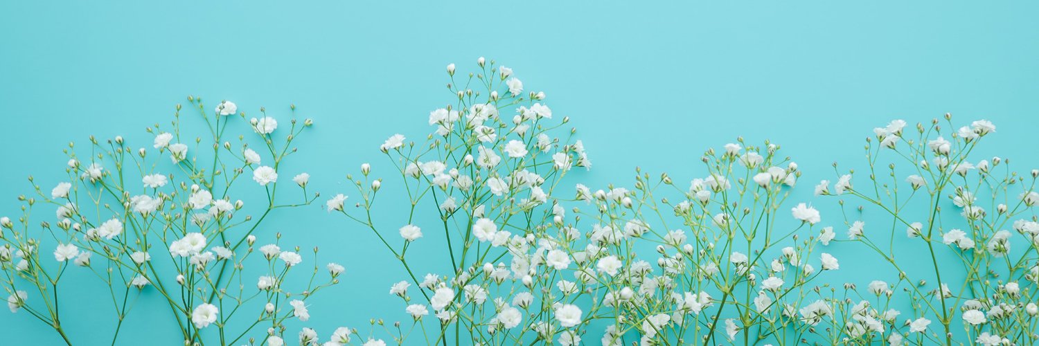 lukeandstella's profile banner image