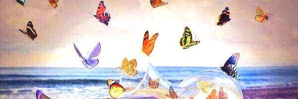 alisalisopes's profile banner image