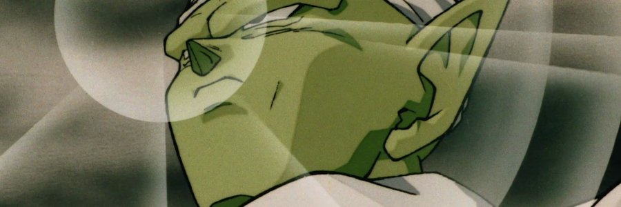 Piccolo113's profile banner image