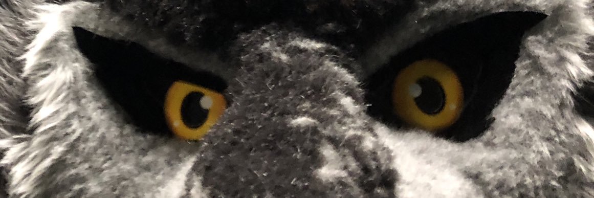 bagi_kemo's profile banner image
