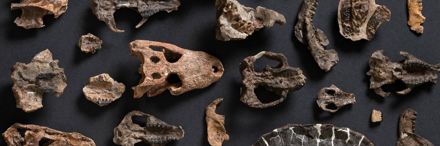 Chester Lab @ BROOKLYN banner