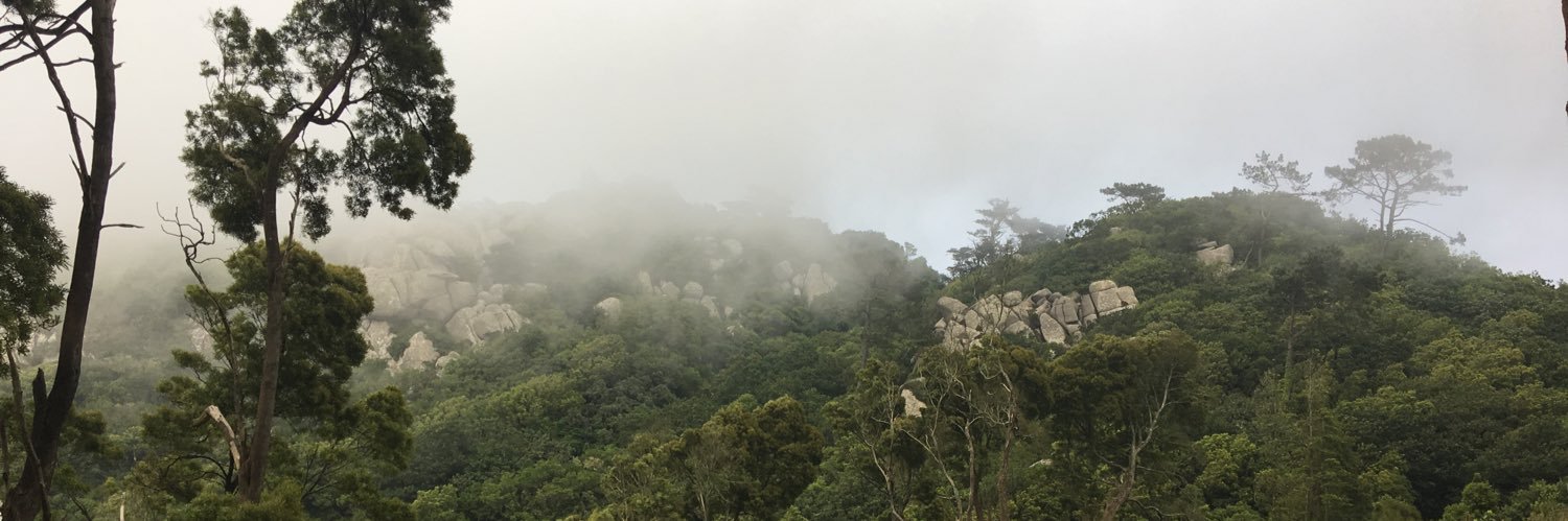 ella (inactive) banner