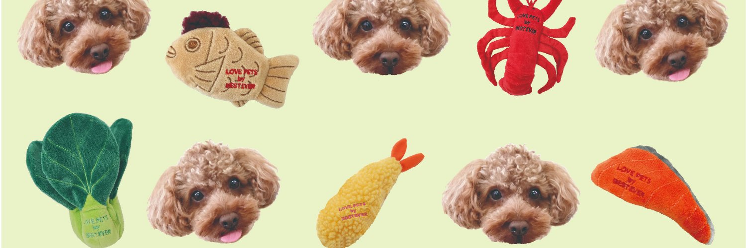 BesteverJapan's profile banner image