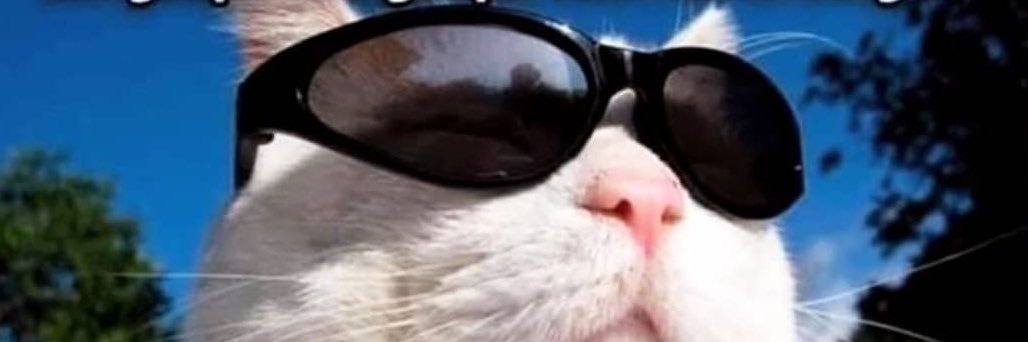 ale_ammtz's profile banner image