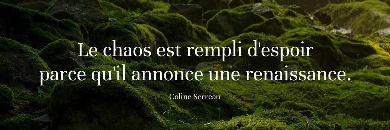 C A R P E 😎 D I E M banner