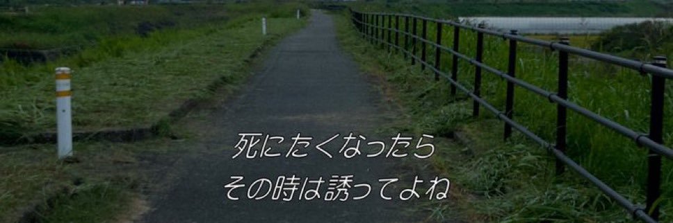 安和 banner