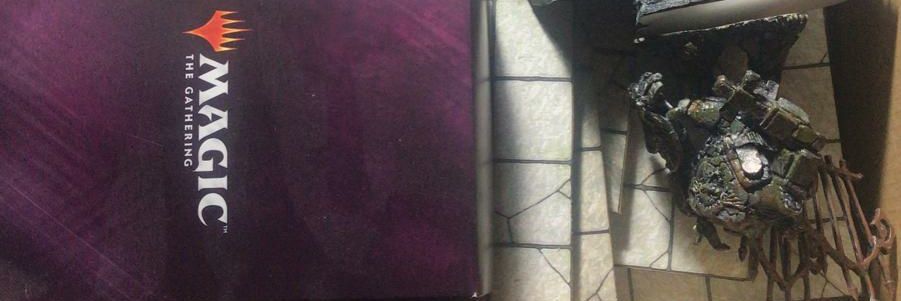 VenserLives banner