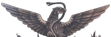Icarustrn's profile banner image