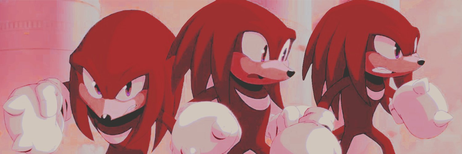 Knuckles the Echidna banner