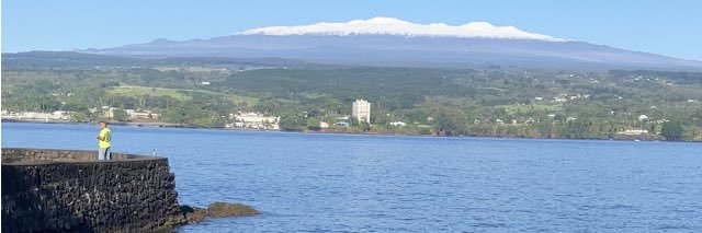 Susan Ponti 💙🇺🇸📬 banner