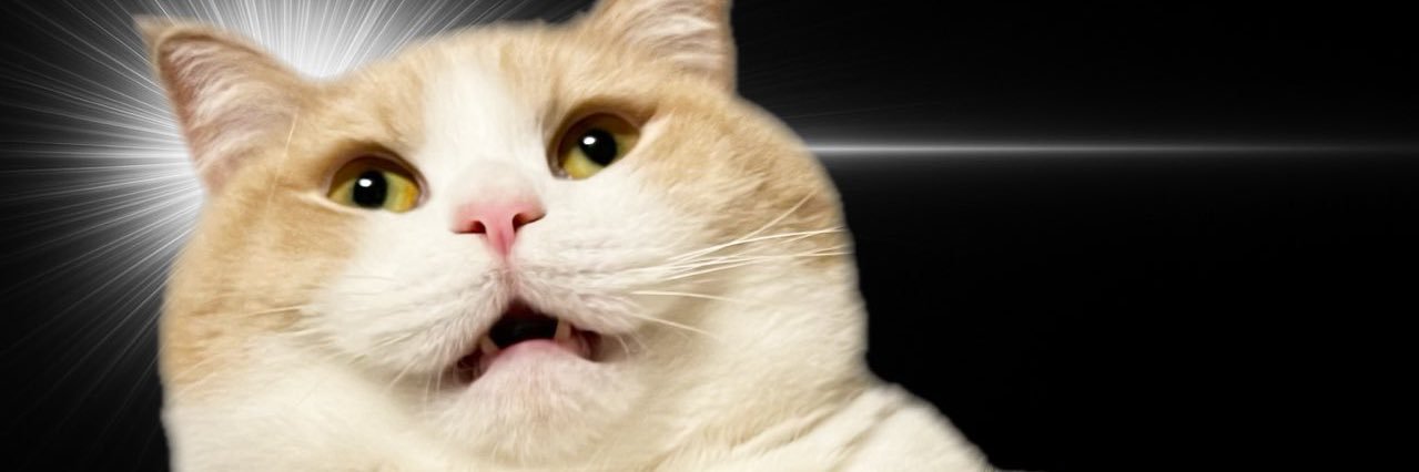 MaryABC007's profile banner image