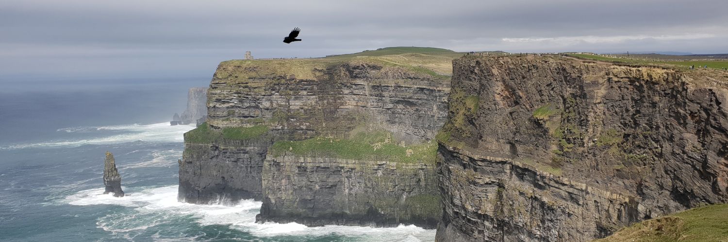 DavidC 🇦🇷 banner