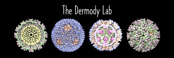 DermodyLab Profile Banner