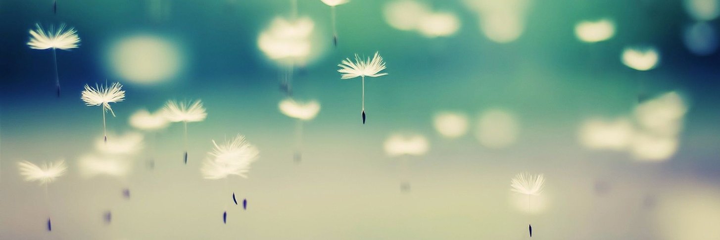 divaeva's profile banner image