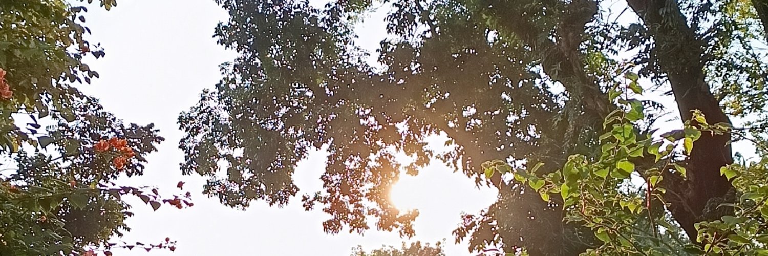 Cana | crochet ♡ banner