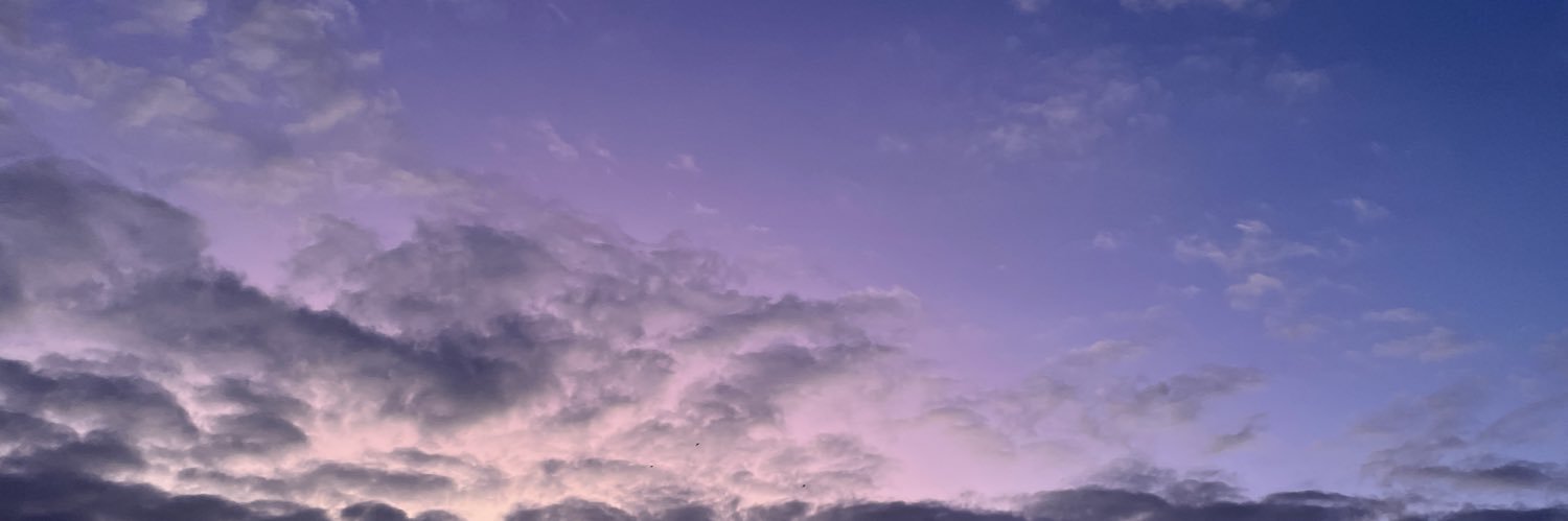 Bestiancl's profile banner image
