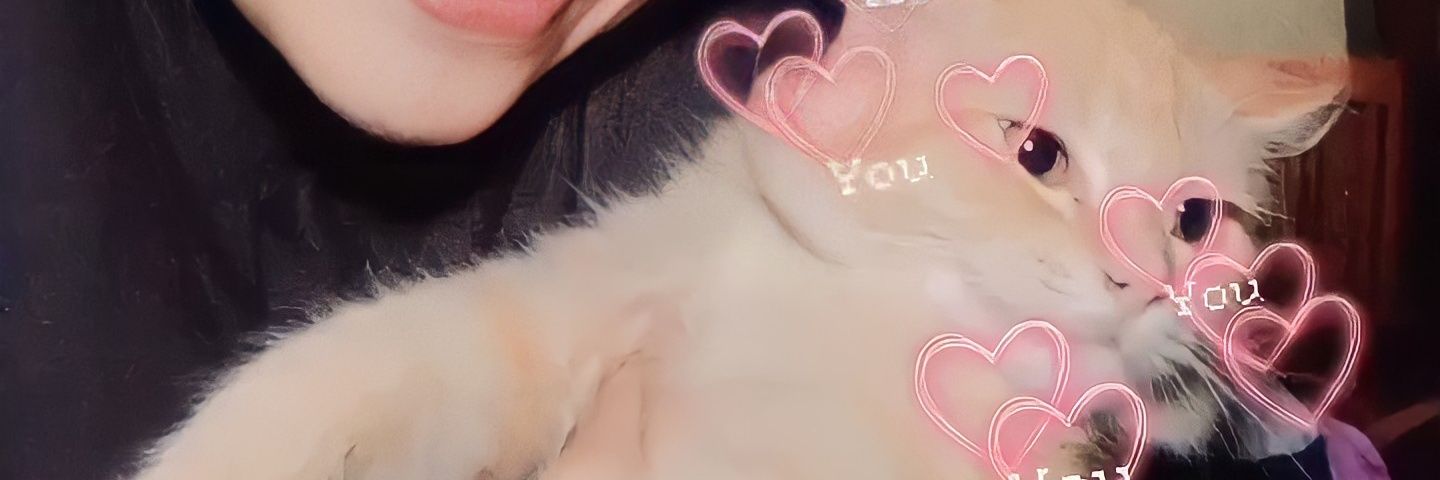 nvitass's profile banner image