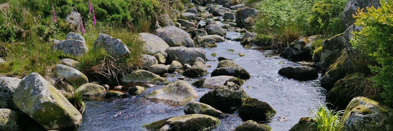 East Coast Catchment Science - Dónal O'Keeffe banner