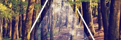 35berky's profile banner image