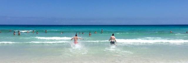 Gregg Daniels banner