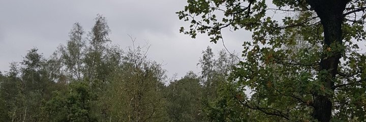 Oakke banner