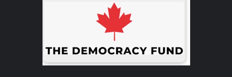 RB Freedom Fighter / Small "L" Libertarian banner