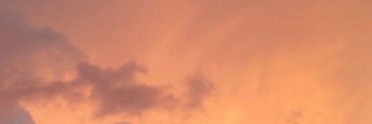 dii²³ banner