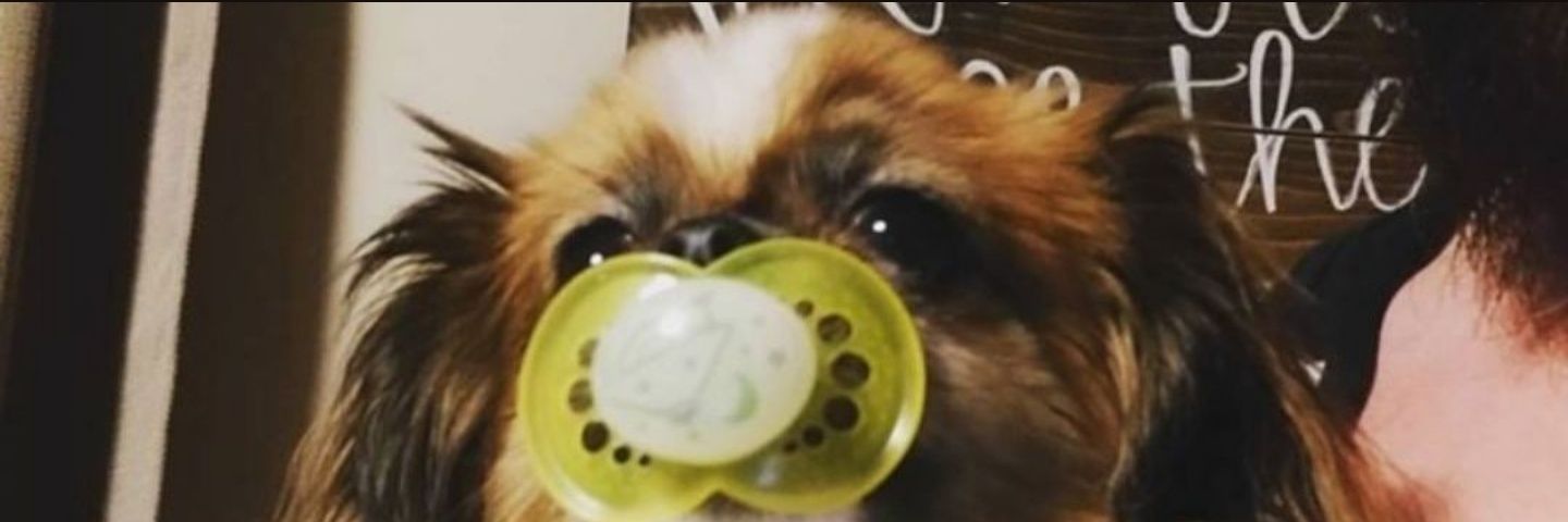 conorquerin's profile banner image