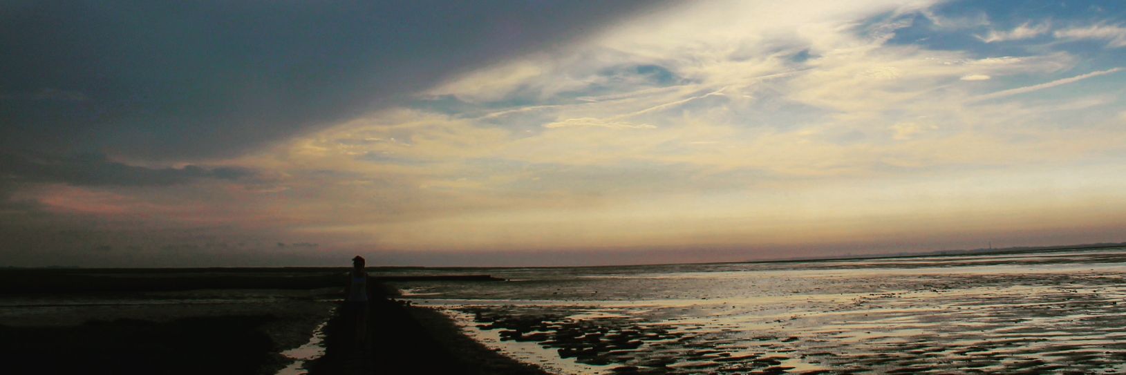 SvenjaGolden's profile banner image