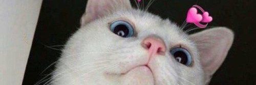 |N@m€| banner