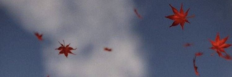 oguznckr's profile banner image
