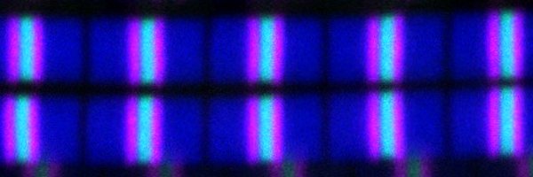 SchnorrerL Profile Banner