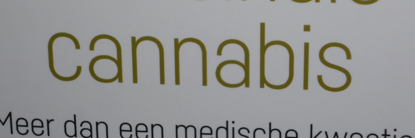 Patrick Dewals banner