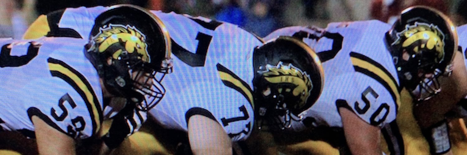 Logan Littleton banner