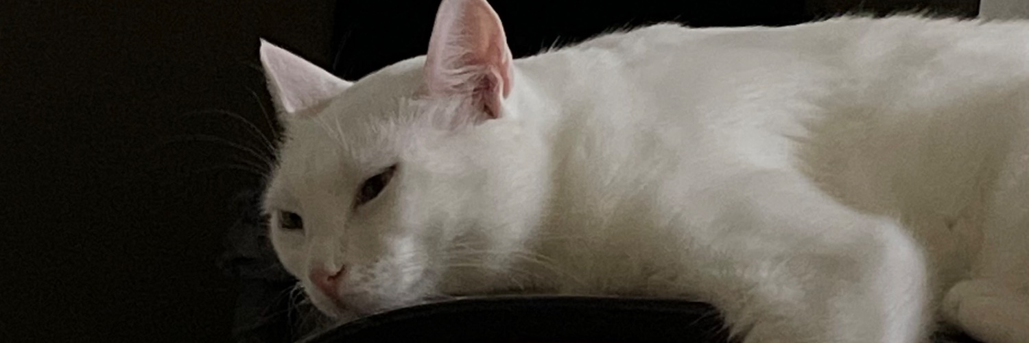 sadviolenncess's profile banner image