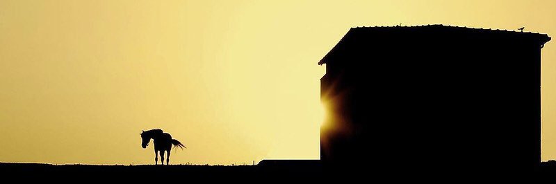 omerosmanoglu's profile banner image