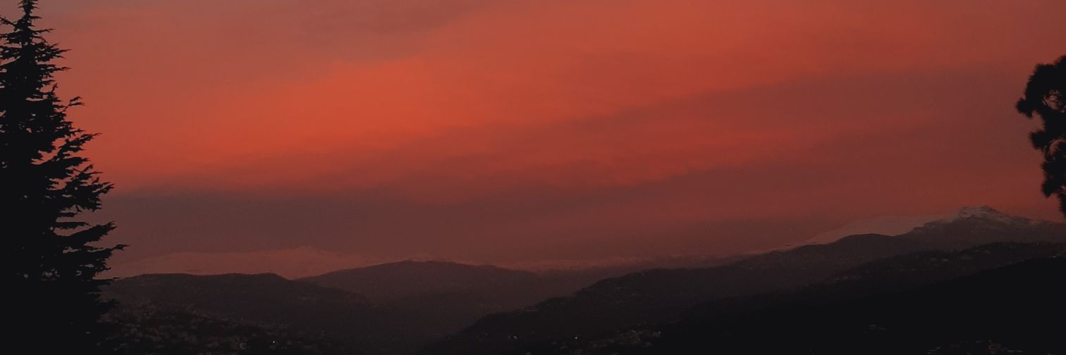 paapercut's profile banner image
