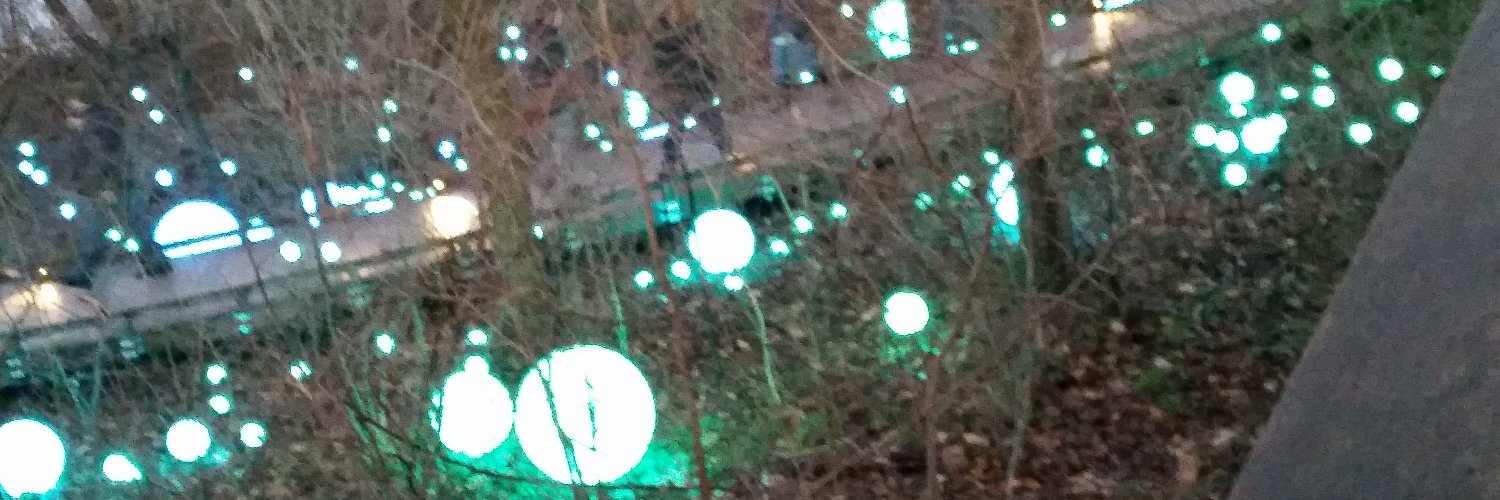RobinHKim1's profile banner image
